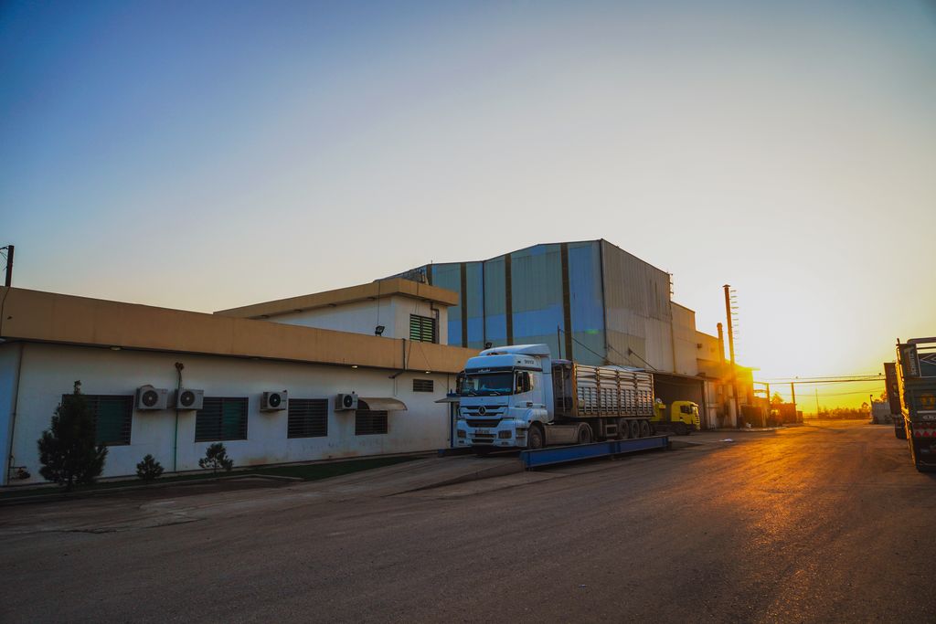 The yard at first light, trucks loading